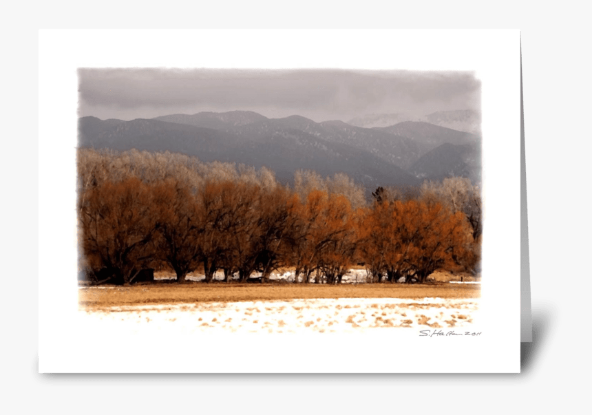 Winter Trees Greeting Card - Picture Frame, HD Png Download, Free Download