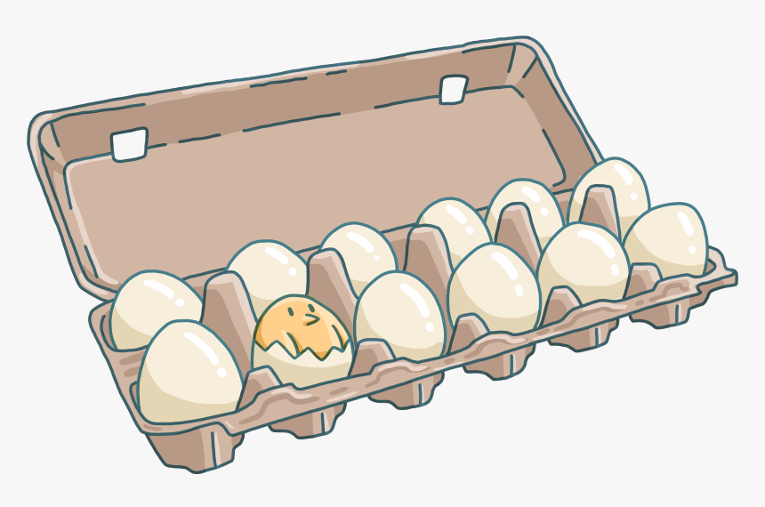 Egg Carton Png, Transparent Png, Free Download