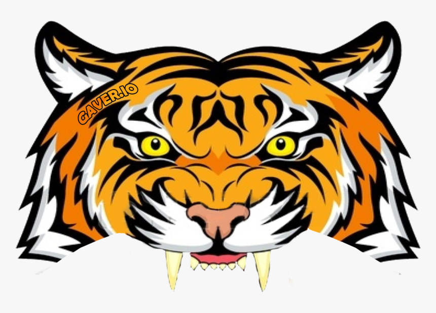 Transparent Irish Hat Png - Tiger Face Colour Drawing, Png Download, Free Download