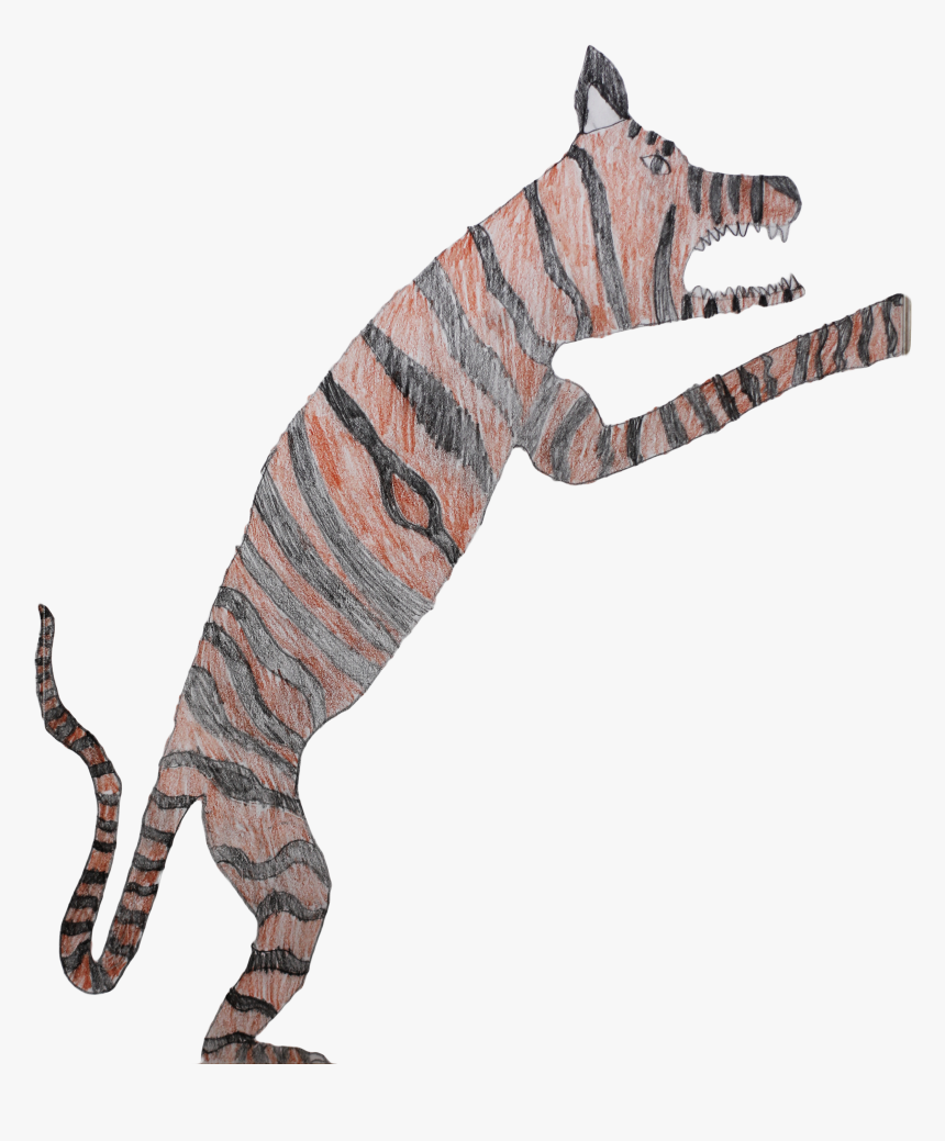 Bengal Tiger Panthera Tigris Tigris - Tiger, HD Png Download, Free Download