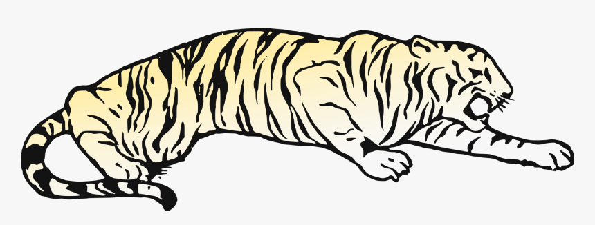 Whiskers Cat Golden Tiger Bear Bengal Tiger - Tiger Pouncing Coloring Pages, HD Png Download, Free Download