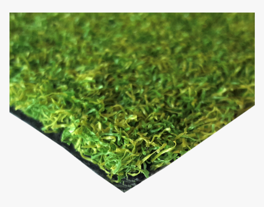 Transparent Ground Cover Png - Lawn, Png Download, Free Download