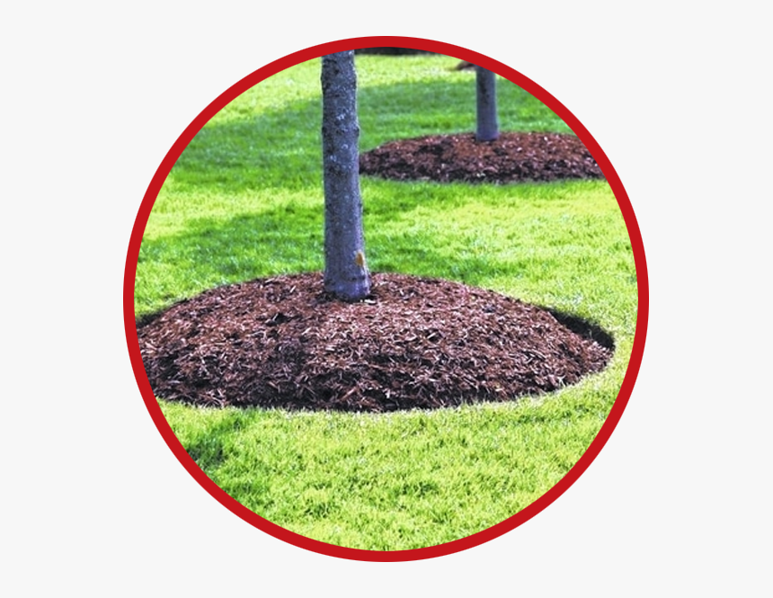 Mulching Services - Diy Idea Around Tree, HD Png Download, Free Download