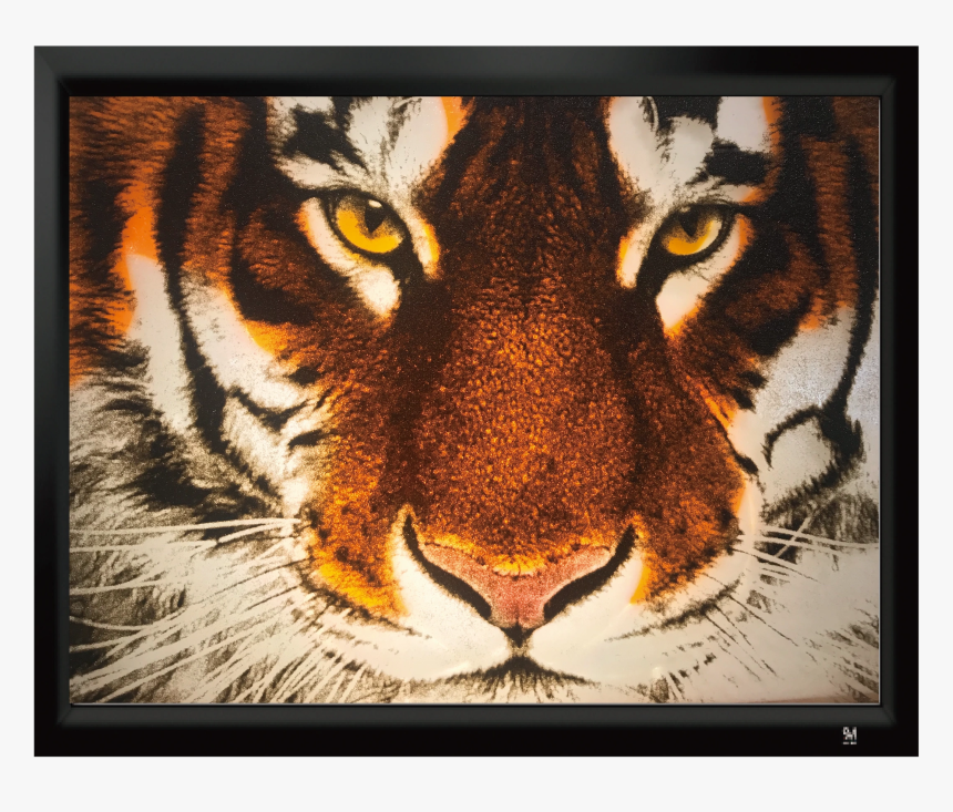 Image2 - Tiger Hd Pics Download, HD Png Download, Free Download