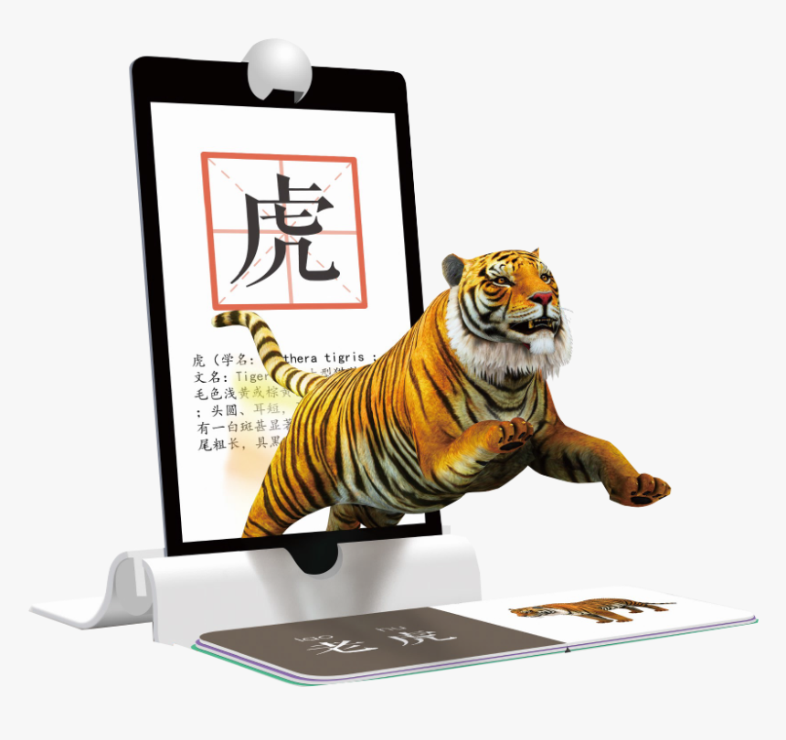 Siberian Tiger, HD Png Download, Free Download