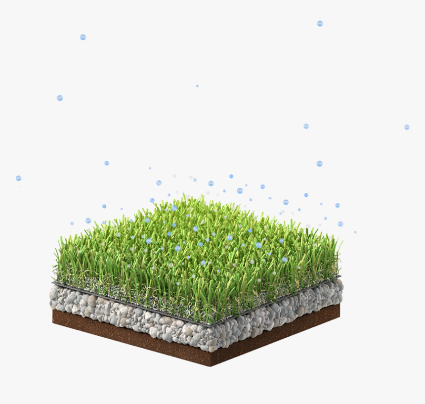 Tcool Grass Image - Moss, HD Png Download, Free Download