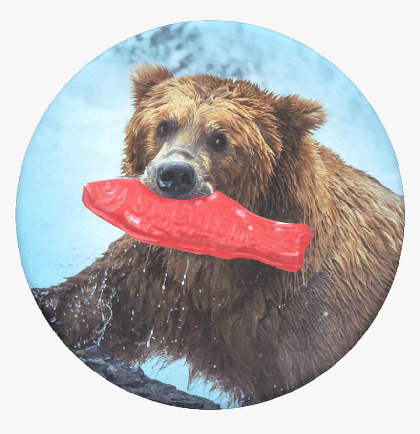 Transparent Swedish Fish Png - Grizzly Bear With Fish, Png Download, Free Download