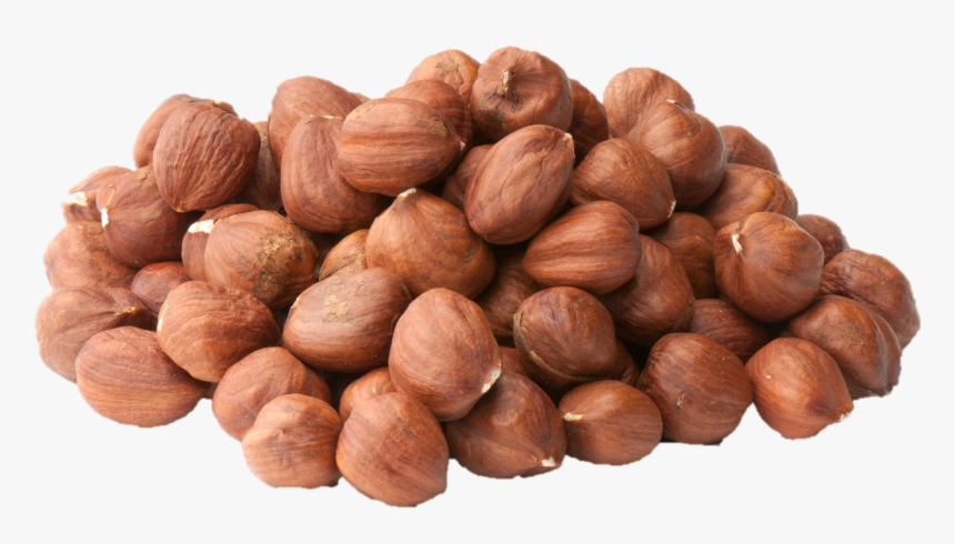 Hazelnut - Semi Perishable Foods Example, HD Png Download, Free Download