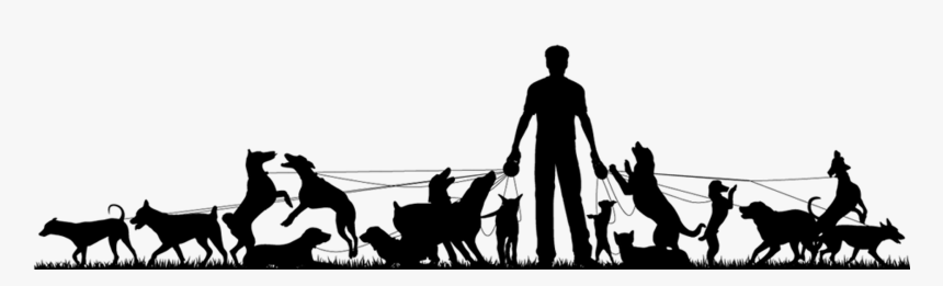 Dog Walking Pet Sitting - Walk Dog Silhouette Png, Transparent Png, Free Download