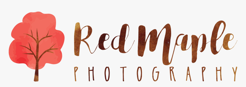 Red Maple Photography - Calligraphy, HD Png Download, Free Download