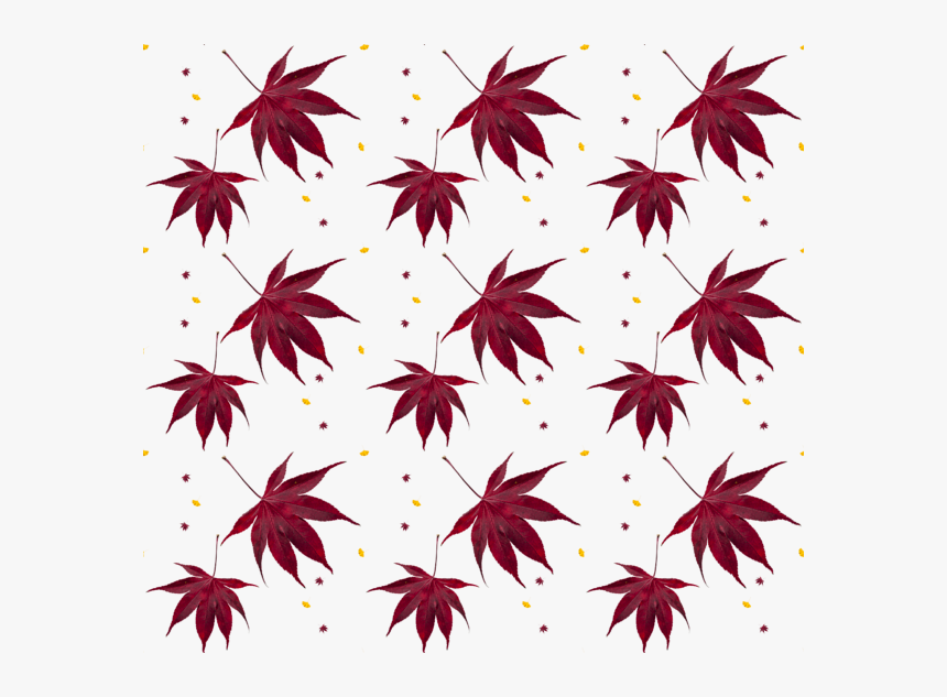 Maple Leaf, HD Png Download, Free Download