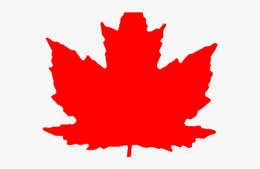 Drawn Maple Leaf Red Leaf - Transparent Canada Maple Leaf, HD Png Download, Free Download