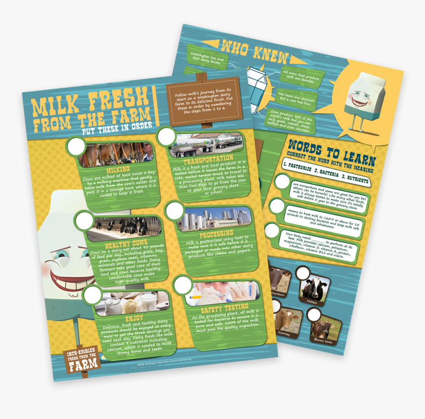 Brochure, HD Png Download, Free Download