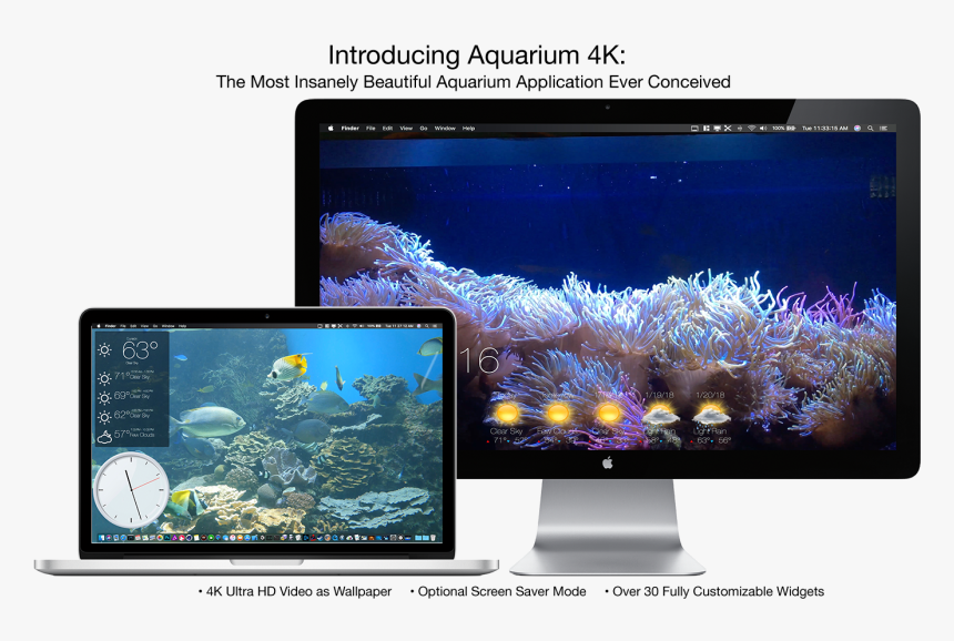 Aquarium 4k Live Wallpaper 1.0 1 Mac, HD Png Download, Free Download