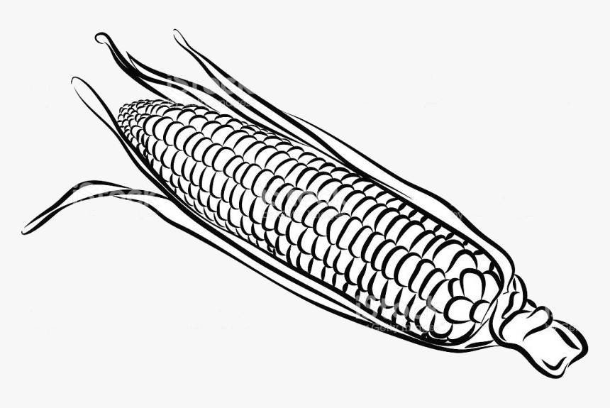 Corn Clipart Easy Draw Transparent Clip Arts And Png - Sweet Corn Black And White, Png Download, Free Download