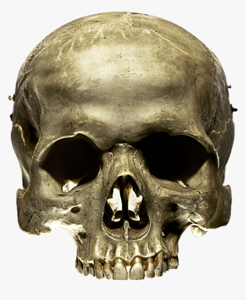 #skull #spooky #skeleton #creepy #halloween - D&d Skull, HD Png Download, Free Download