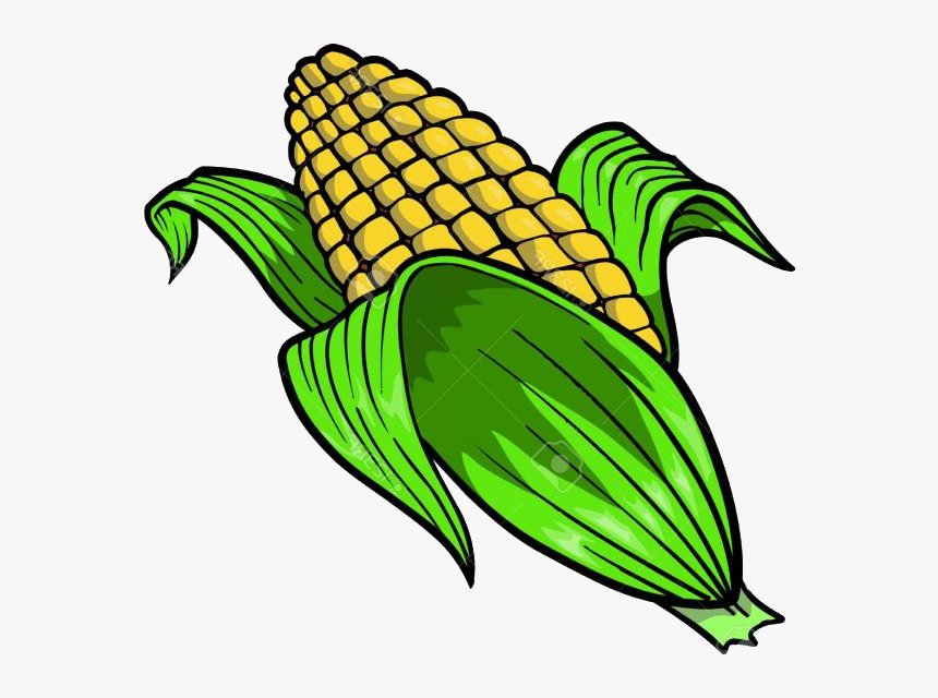 Corn Hd Clip Art Pictures Vector Graphics Clipart Transparent - Corn Clip Art, HD Png Download, Free Download