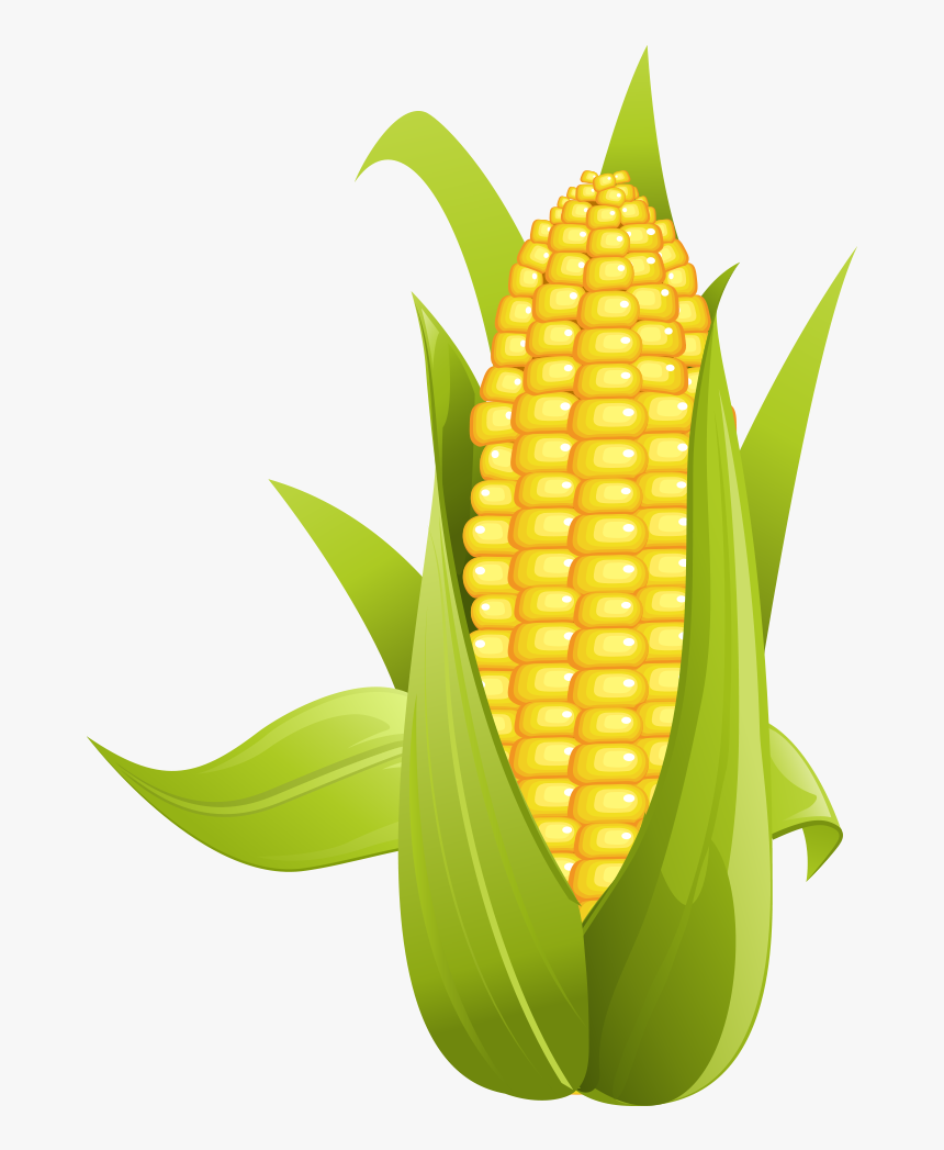 Image Transparent Library Kernel Clipart Yellow Corn - Corn On The Cob Art Png, Png Download, Free Download