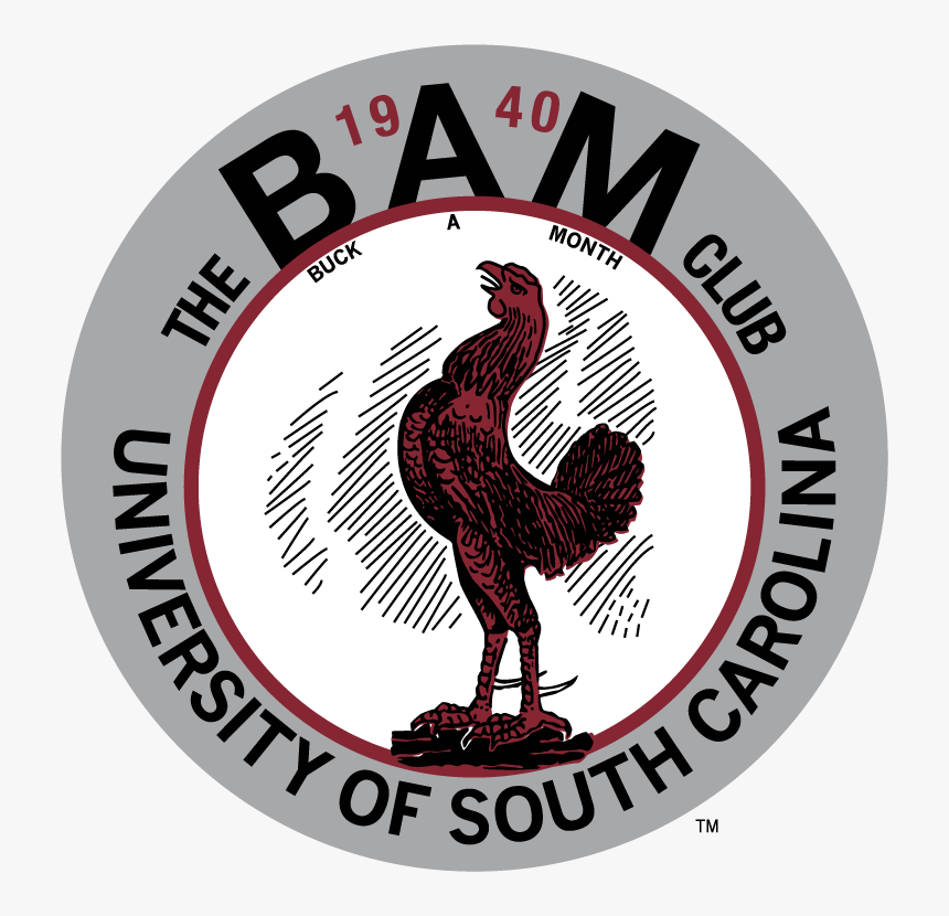 South Carolina Gamecocks Logo University Of South Carolina - Vintage Carolina Logo, HD Png Download, Free Download