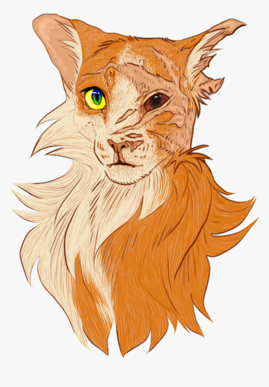 Image - Lion, HD Png Download, Free Download