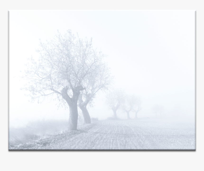 Foggy Sunday - Mist, HD Png Download, Free Download