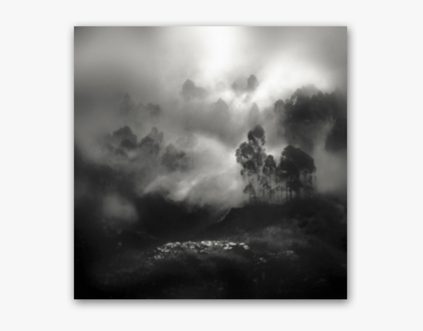 Foggy - Photograph, HD Png Download, Free Download