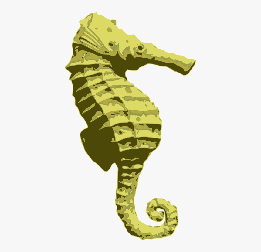 Seahorse, HD Png Download, Free Download