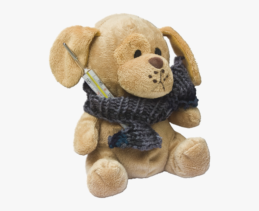 Teddy, Dog, Stuffed Animal, Ill, Injured, Fever - Boneka Format Png, Transparent Png, Free Download