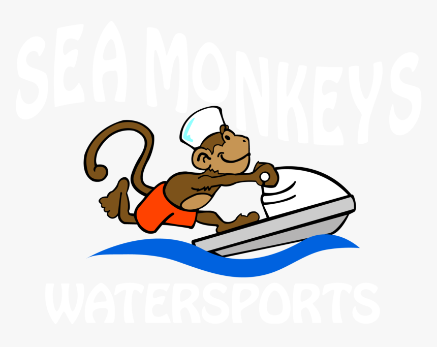 Clip Art Sea Monkeys Watersports Boat, HD Png Download, Free Download