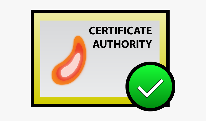 Certificate, HD Png Download, Free Download