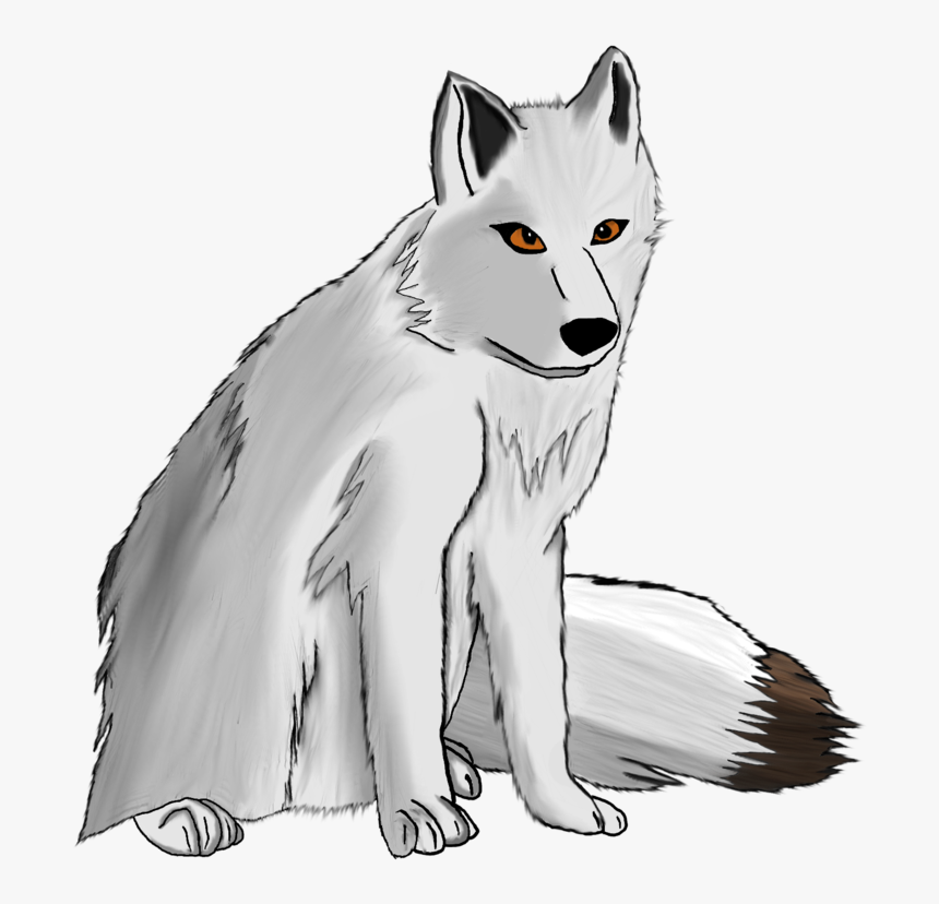 Arctic Fox, HD Png Download, Free Download