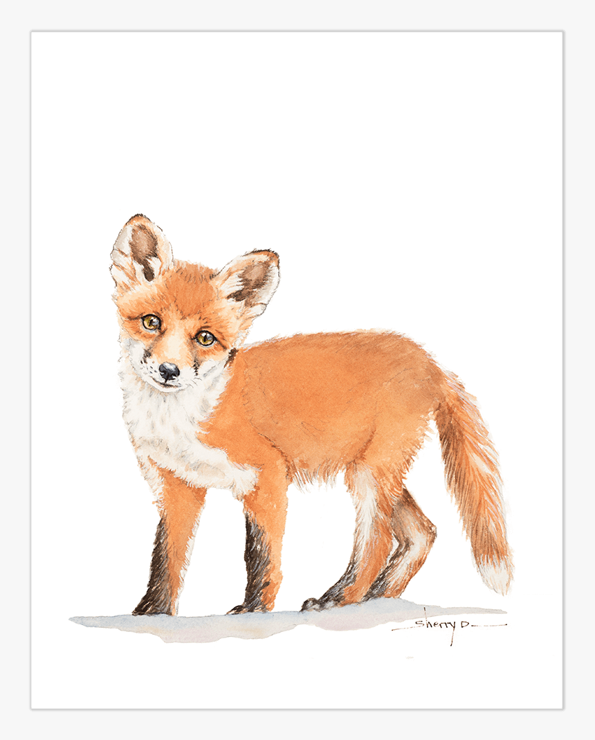 Baby Fox Wall Art"
 Class= - Red Fox, HD Png Download, Free Download