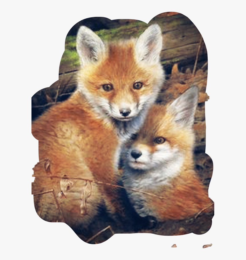 #fox #baby #freetoedit - Painting Of Fox Cubs, HD Png Download, Free Download