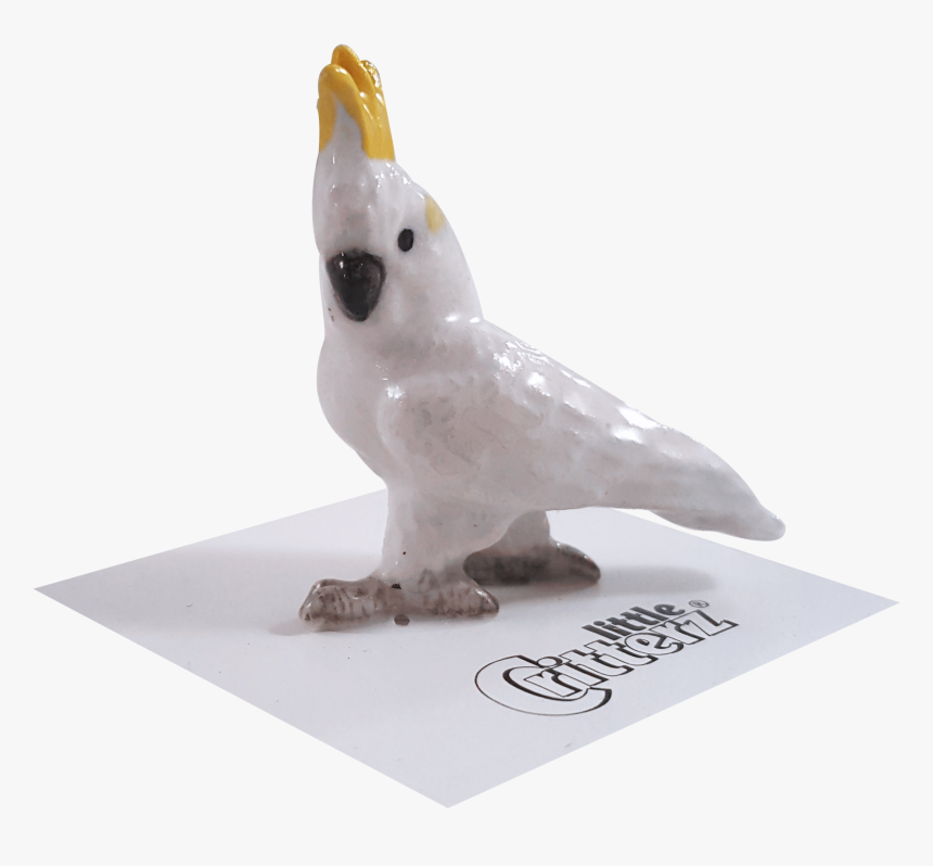 Transparent Cockatoo Png - Cockatiel, Png Download, Free Download