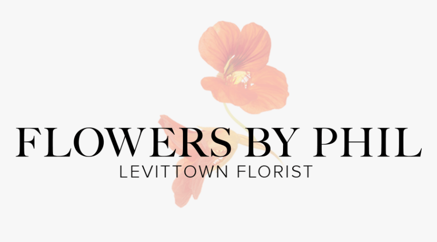 Levittown Florist & Flowers By Phil - Hibiscus, HD Png Download, Free Download