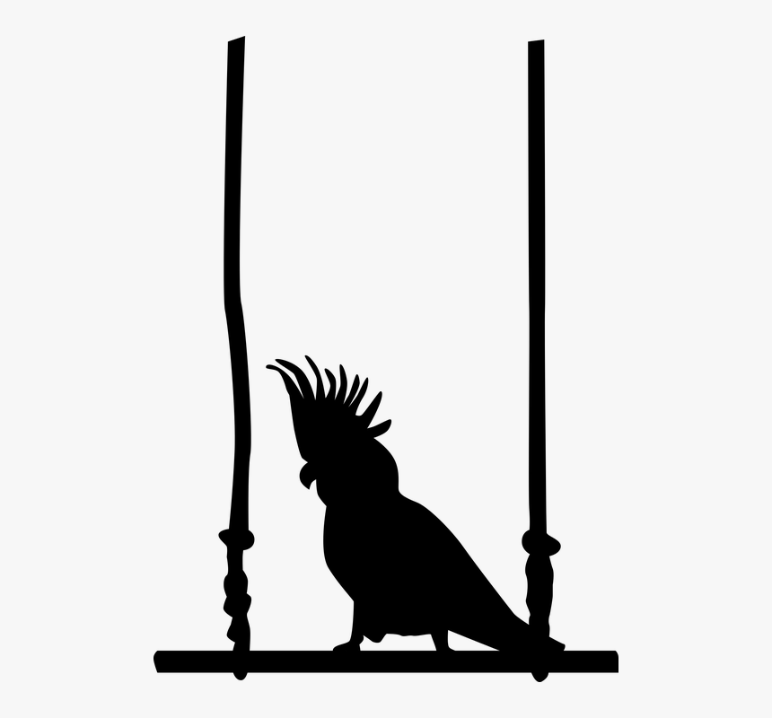 Parrot, Bird, Swing, Cockatoo - Bird On Swing Png, Transparent Png, Free Download