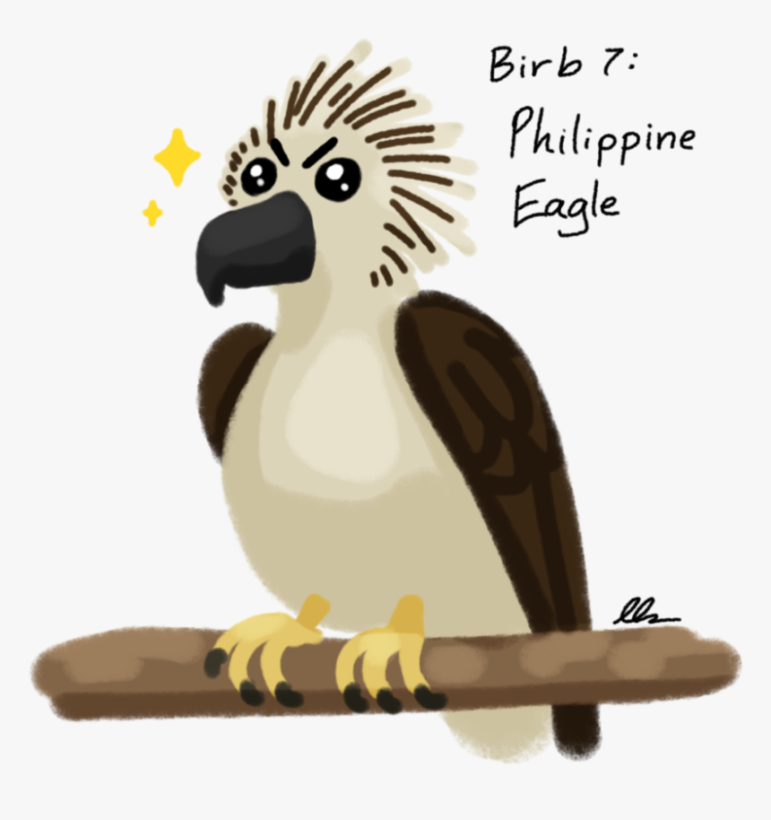 Graphic Black And White Decembirb Philippine Eagle - Philippine Eagle Cartoon, HD Png Download, Free Download