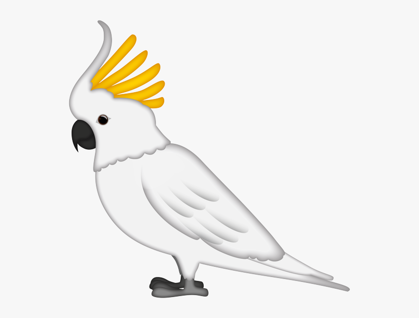 Sulphur-crested Cockatoo, HD Png Download, Free Download