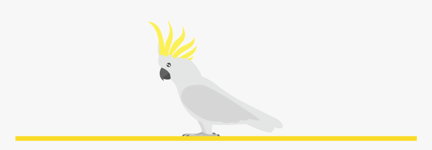 Sulphur-crested Cockatoo, HD Png Download, Free Download