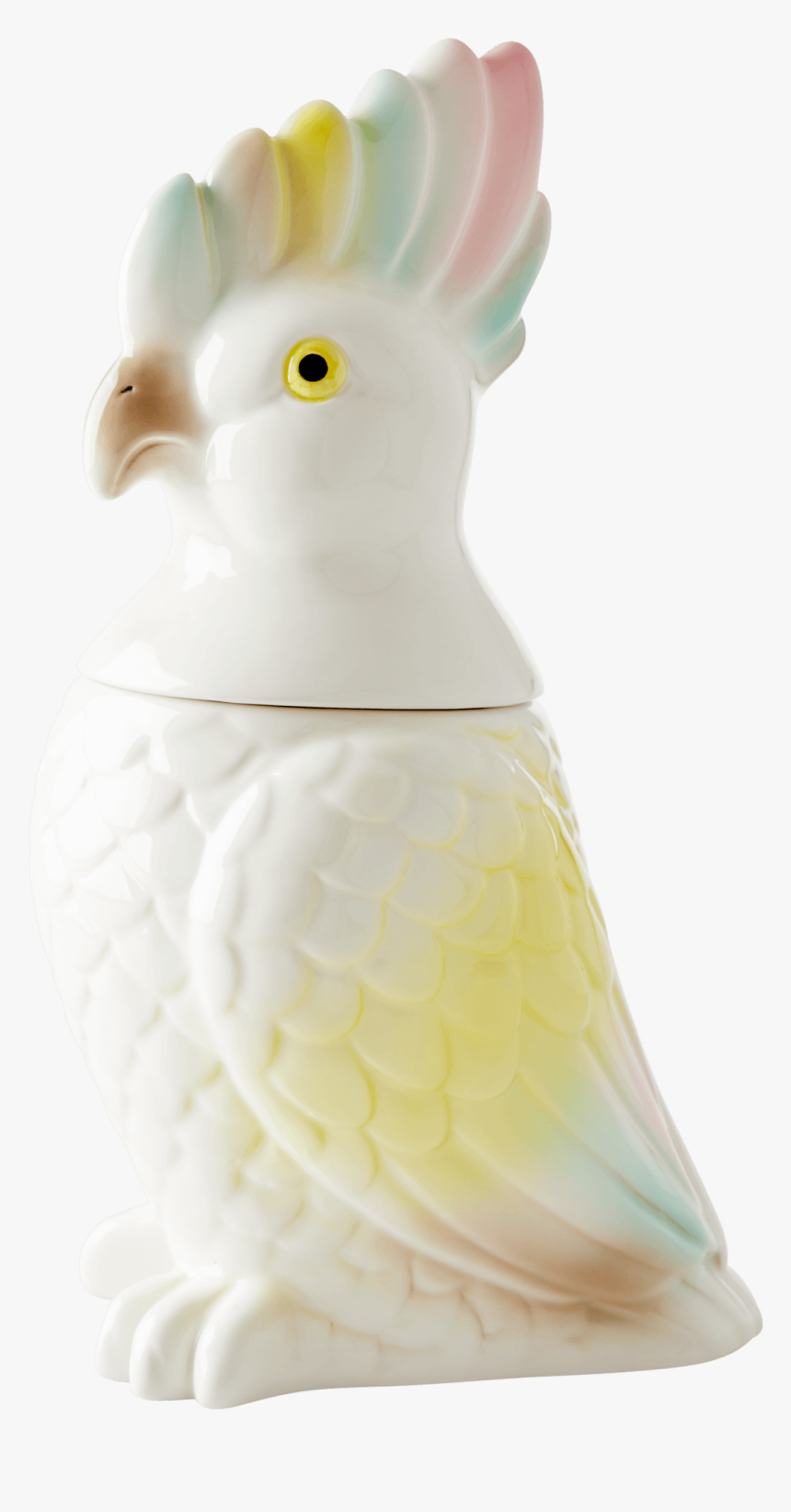 Cockatoo, HD Png Download, Free Download