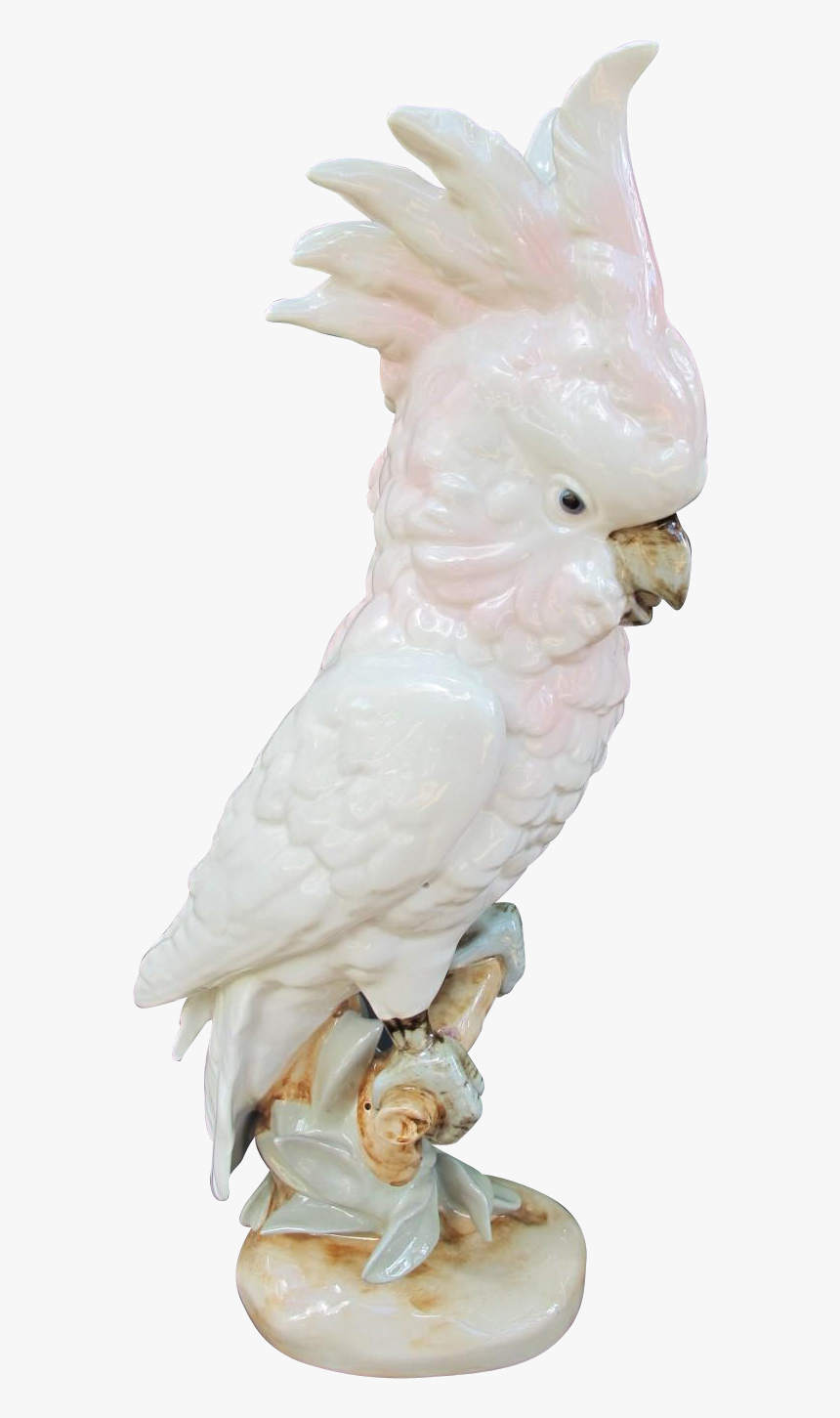 Life Sized Royal Dux Cockatoo Figurine - Cockatoo, HD Png Download, Free Download