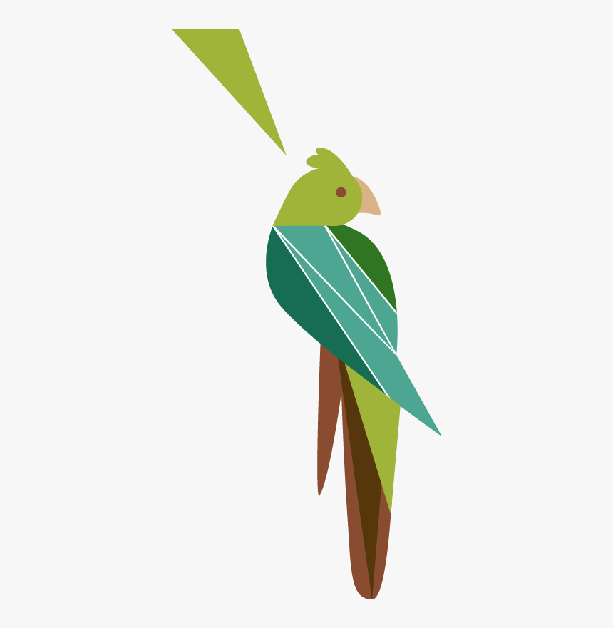 Sidebar Cockatoo - Parakeet, HD Png Download, Free Download