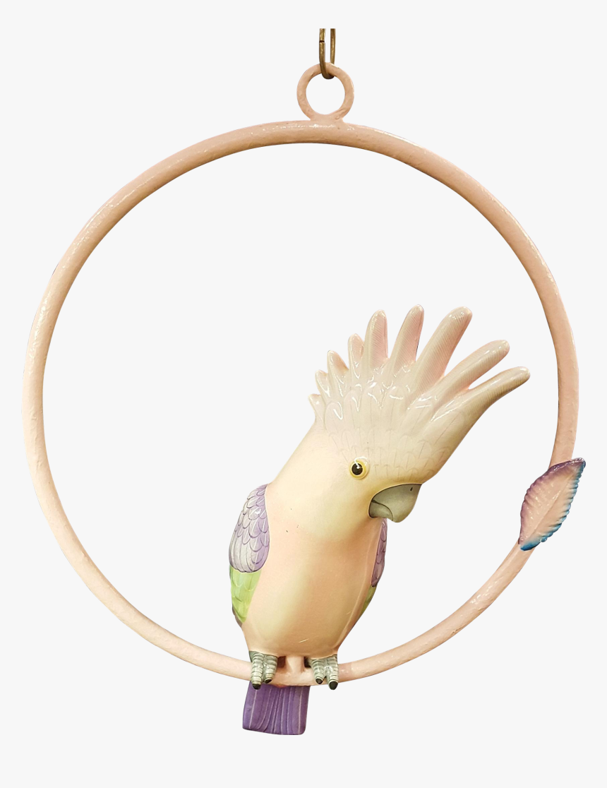 Contemporary-modernism - Cockatiel, HD Png Download, Free Download