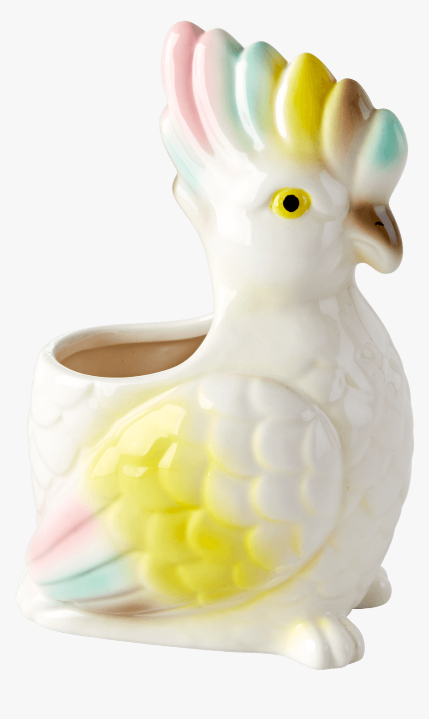 Cockatoo, HD Png Download, Free Download