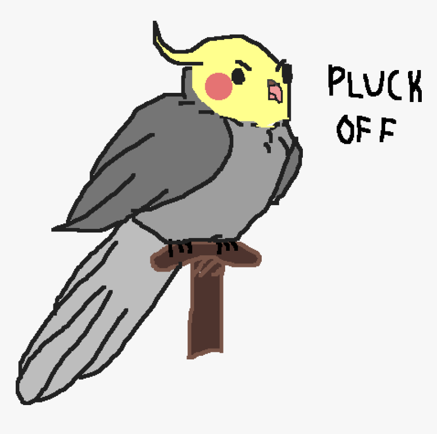 Clip Transparent Birb Drawing Cockatoo - Cockatiel, HD Png Download, Free Download