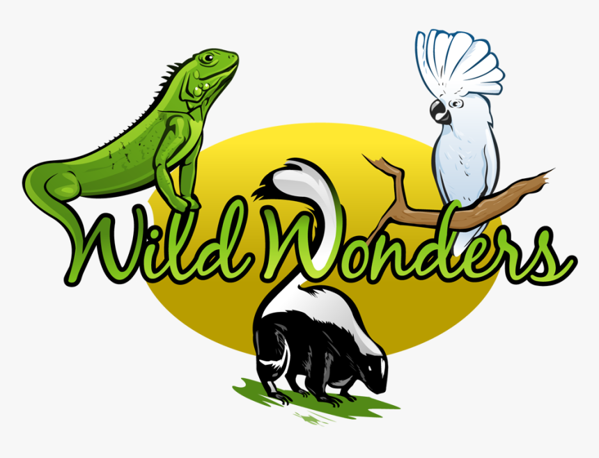 Logo - Wild Wonders, HD Png Download, Free Download