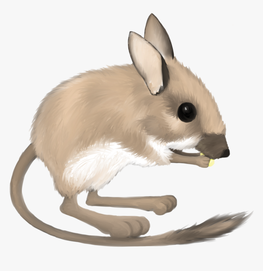 Mouse Clip Desert - Kangaroo Rat Transparent Background, HD Png Download, Free Download