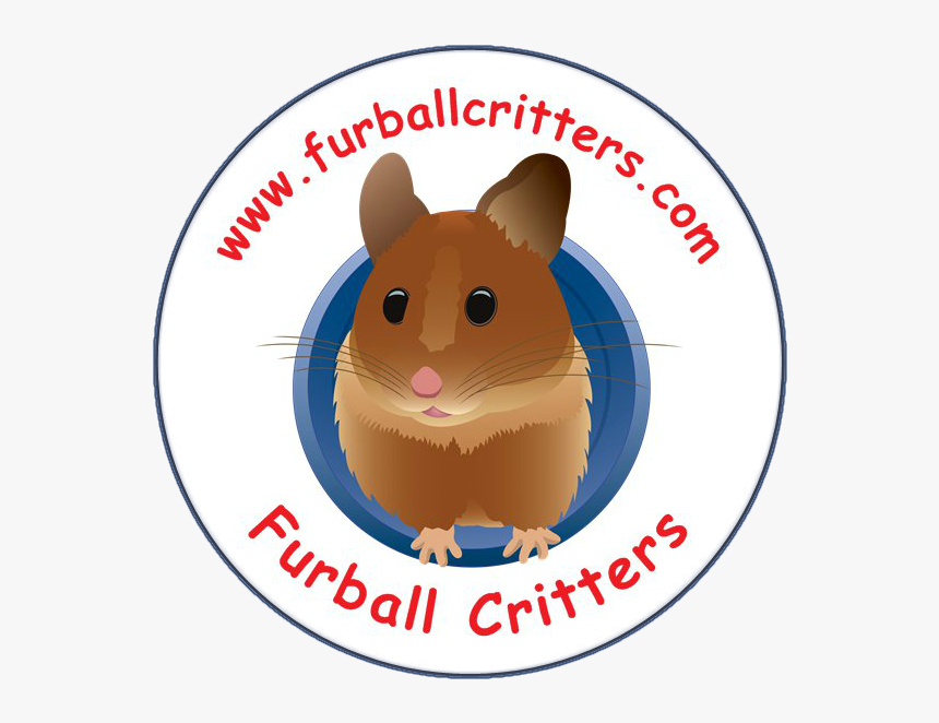 Logo Hamsters, HD Png Download, Free Download