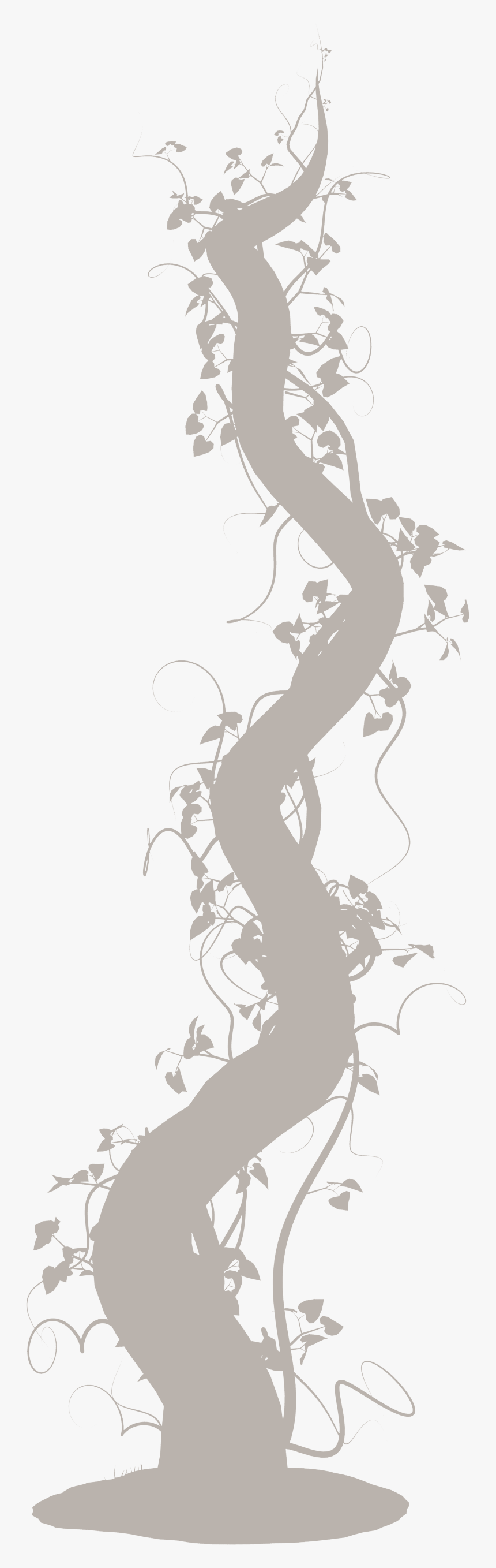 Black And White Beanstalk, HD Png Download, Free Download