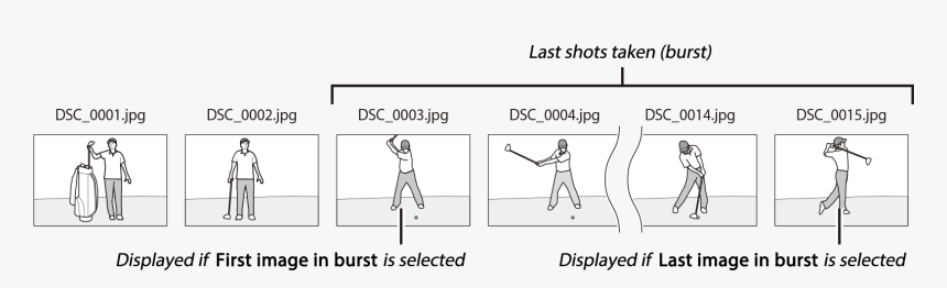 Controls Whether The Photo Displayed At The End Of - Cartoon, HD Png Download, Free Download